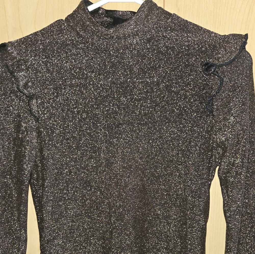 PSHEIN Shimmering Brown  Long Sleeve Blouse. New Never Used
